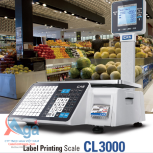 cas cl3000p